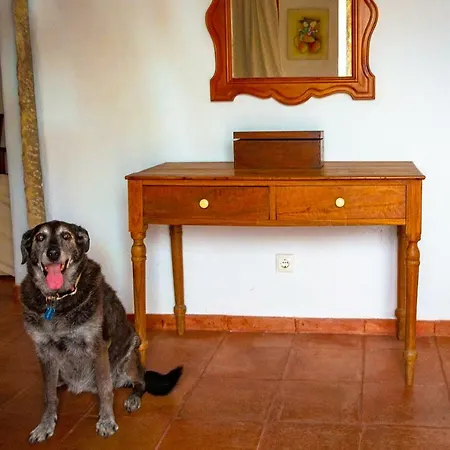 Casa Do Anjo Ferienhaus